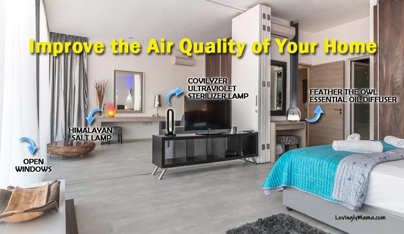 improve the air quality of your home - home design - health - wellness - bacolod mommy blogger - boost immunity