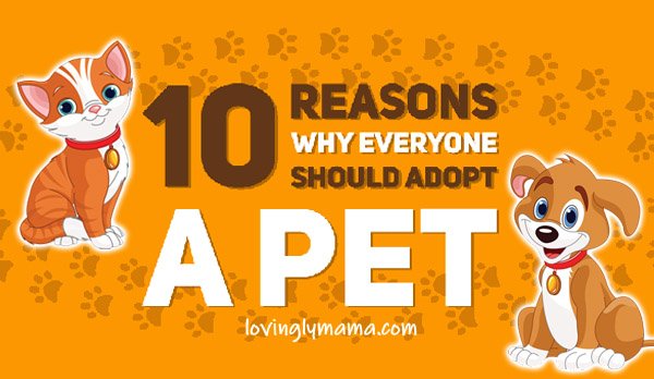 reasons why you should adopt a pet - pet adoption - family - home - kids