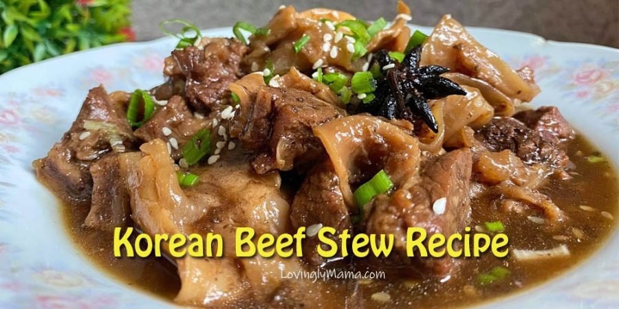 how to cook - Korean beef stew recipe - Covid-19 quarantine - homecooking - Kdrama - from my kitchen - sesame seeds - cover