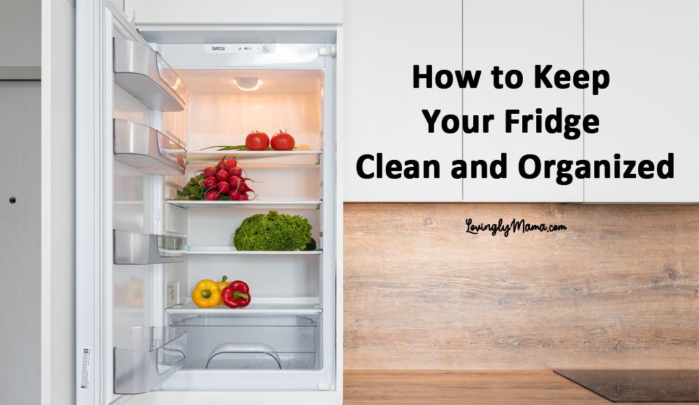 How to Keep the Refrigerator Clean - Organize and Decorate Everything