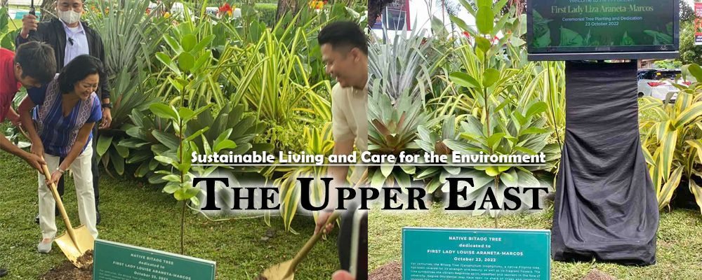 Megaworld, Megaworld Corporation, real estate, township, township development, eco-development, sustainable living, The Upper East, Bacolod City, Negros Occidental, First Lady Louise Araneta-Marcos, First Lady Liza Marcos, tree planting, native bitaog tree,