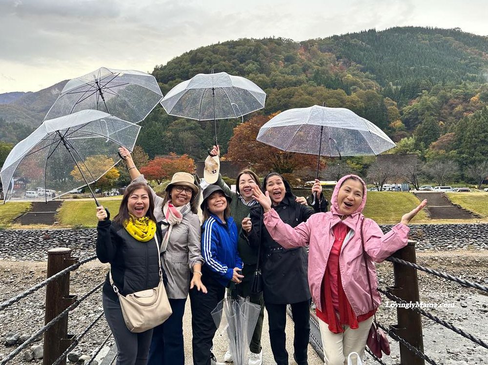 Sun Life Macaulay Club - Sun Life Philippines - life insurance - financial advisors - autumn in Nagoya Japan - travel blogger - Shirakawago bridge