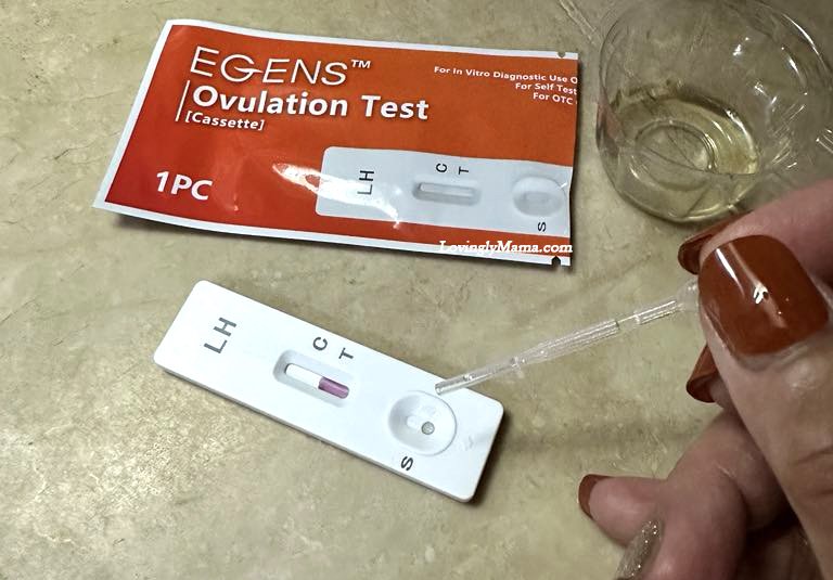 pregnancy, conceive, how to use ovulation test kids, ovulation test kits, fertility, pregnancy, pregnancy aids, motherhood, family